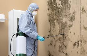 Professional Mold Inspection in Elm Creek, NE